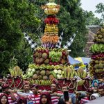 印尼希望通过榴莲贸易向中国市场创造 80 亿美元收益