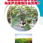 滴灌施肥对茄子长势与生产力取到什么作用?