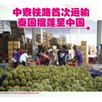 中寮铁路首次运输泰国榴莲至中国