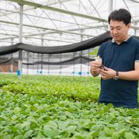 海归硕士康英德:回乡种菜年产值近1.17亿,带领乡亲走出致富路