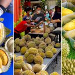 槟城 5 大品尝新鲜榴莲的最佳地点