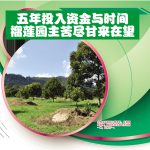 五年投入资金与时间,榴莲园主苦尽甘来在望