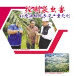 控制袋虫害以免油棕成长及产量受创