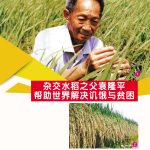 杂交水稻之父袁隆平帮助世界解决讥饿与贫困
