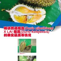 略谈普通榴莲 (Durio zibethinus) X LAI 榴莲 (Durio kutejensis) 的果实品质等情况