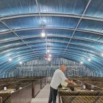 虫子哥养殖蟋蟀把钱赚