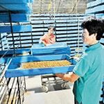 特色养殖闯出致富路