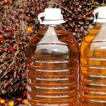 由于棕榈油购买强劲,印度 7 月份食用油进口量将激增至创纪录水平