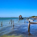 2024 年墨西哥湾营养物污染死区面积将达到 6,700 平方英里