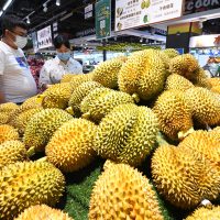 泰国、越南争夺头把交椅，中国夏季榴莲市场升温