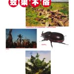 控制甲虫害的各种生物药效果不俗