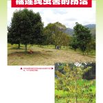 榴莲线虫害的防治