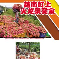 越南盯上入火龙果买家
