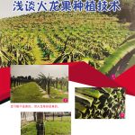 浅谈火龙果种植技术