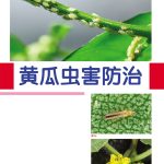 黄瓜虫害防治