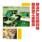 榴莲加工成果泥解决产量过剩问题