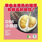 果肉金黄色的榴莲有较高的地位?