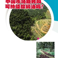 中国市场能转向、可持续棕榈油吗?