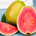 红心芭乐种出创业“开门红”