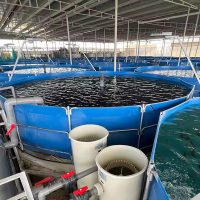 欧美发达国家工厂化水产养殖系统发展现状