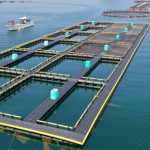 量力而行发展深远海养殖