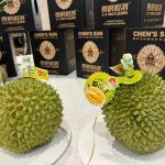 马来西亚猫山王榴莲在中国价格昂贵