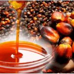 联合行动查获价值超过 22 万令吉的原棕榈油