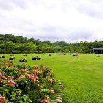 台湾6个经典休闲农场，好好体验一把农场主的感觉！（下篇）