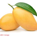 世界上最好的芒果品种