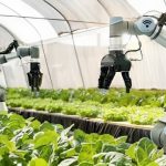 人工智能是智慧农业新风口