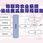 物联网农业系统种植哈蜜瓜取得预期效果