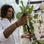 鱼菜共生系统的7个规则