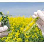 农业生物科技的5个例子