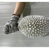榴莲加工品