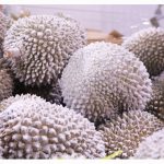 关于液氮冷冻榴莲