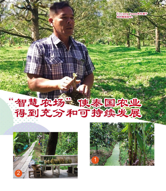 Read more about the article “智慧农场”使泰国农业得到充分和可持续发展