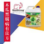 木瓜黑腐病有良方