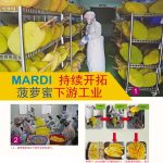 MARDI持续开拓菠萝蜜下游工业