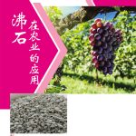 沸石在农业的应用