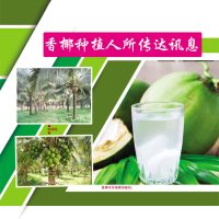 香椰种植人所传达讯息