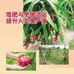 堆肥与参肥混合提升火龙果产量