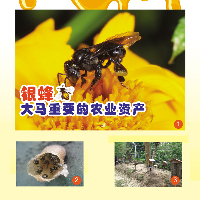 Read more about the article 银蜂大马重要的农业资产