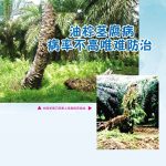 油棕茎腐病病率不高唯难防治