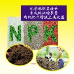 化学肥明显提升未成龄油棕长势 有机肥只增强土壤效益