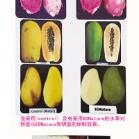 MARDI花三年研发植物油基保鲜膜:EONature