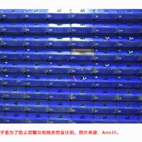 马来西亚水产养殖业：挑战与问题