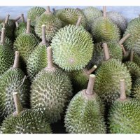 马来西亚和越南在中国榴莲市场挑战泰国