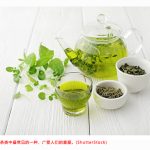 常喝绿茶的五大好处和两个副作用