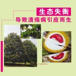 生态失衡导致溃疡病引应而生