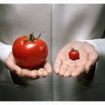 吃转基因农广品会对我们的基因产生影响吗？